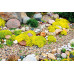 Cornish (Silver Grey) Horticultural Grit 2-5mm