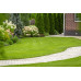Lawn Topsoil (S)