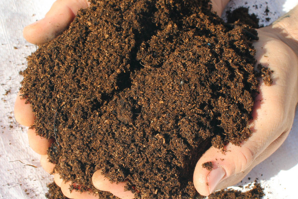 Multi-Purpose Compost