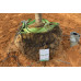 Washed Tree-Pit Subsoil (E)